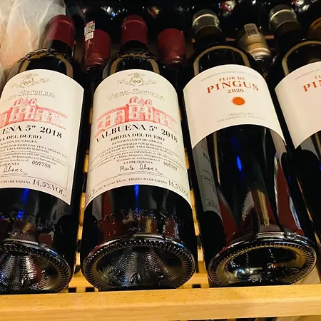 فندق Restaurante Agapio De Tresnino Olivares de Duero
