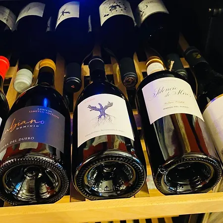 فندق Restaurante Agapio De Tresnino Olivares de Duero
